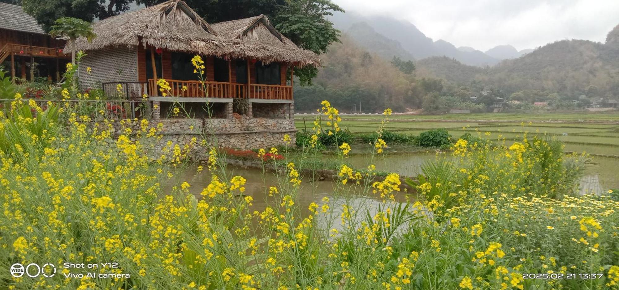 Mai Chau Hillside Homestay מראה חיצוני תמונה